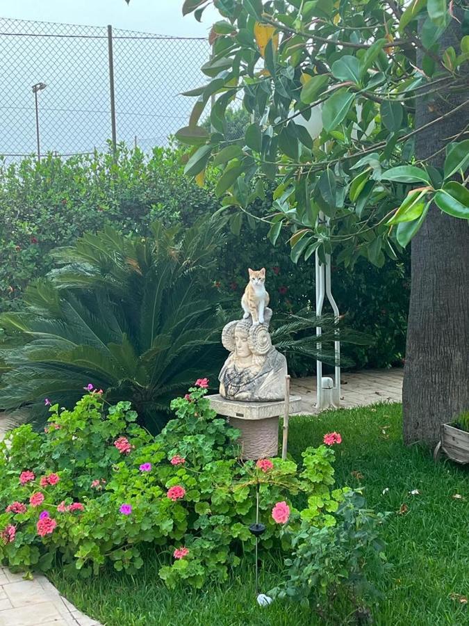 Romantico Wellness Casa Veronica Эльче Экстерьер фото